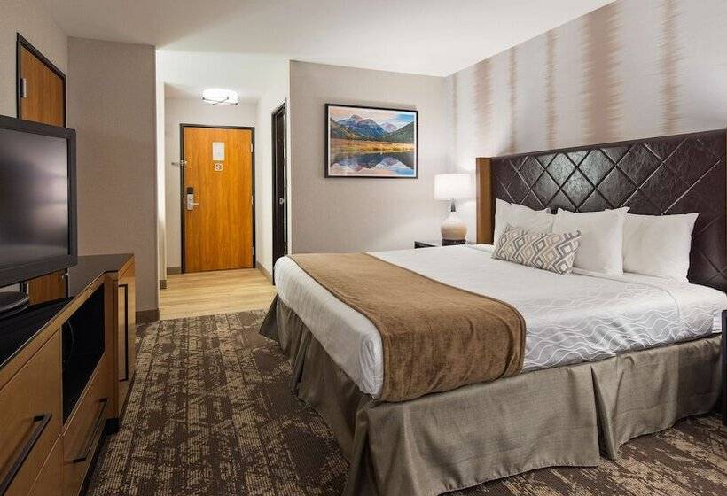 Номер Стандарт Двуспальная Кровать, Best Western Holiday Hills