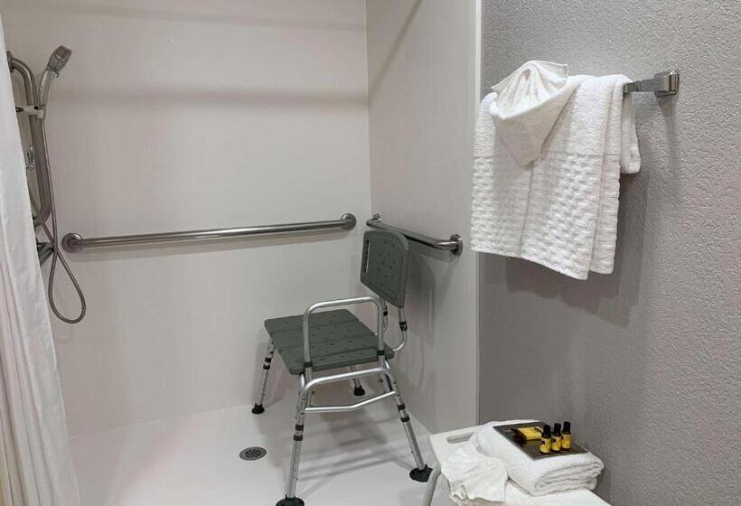 Номер Стандарт Кровать Квин Адаптированный для Инвалидов, Best Western Plus Oklahoma City Yukon