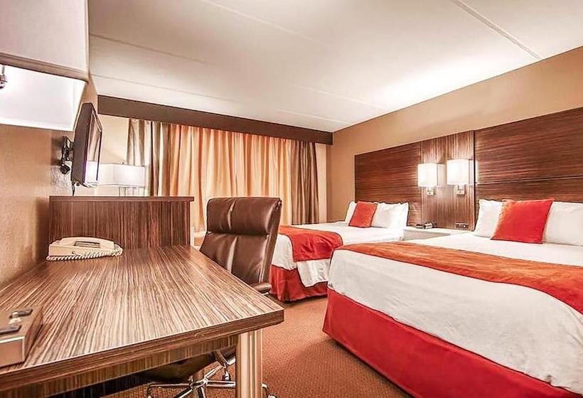 스탠다드 룸, Sonesta Essential Orlando