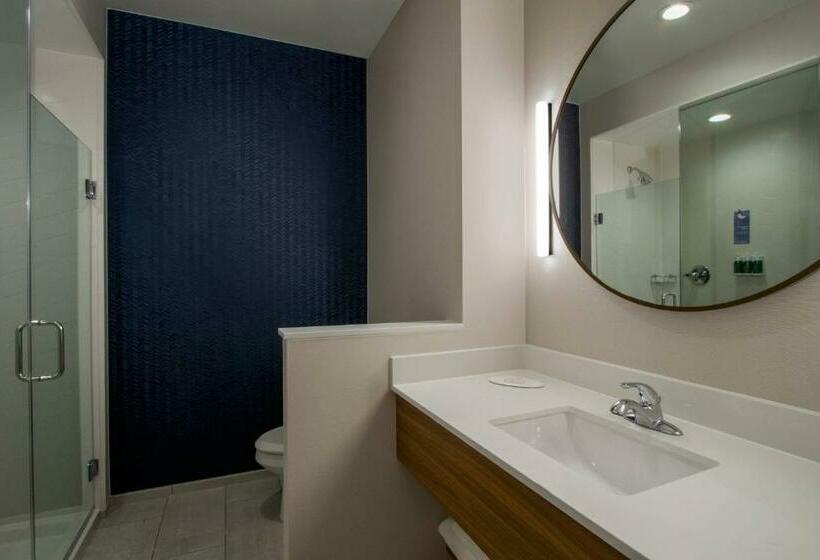 Люкс Кровать Кинг, Fairfield Inn & Suites Duncan