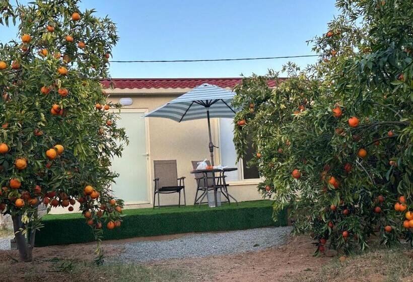 اتاق سوپریور با چشم‌انداز باغ, Naseem Country House