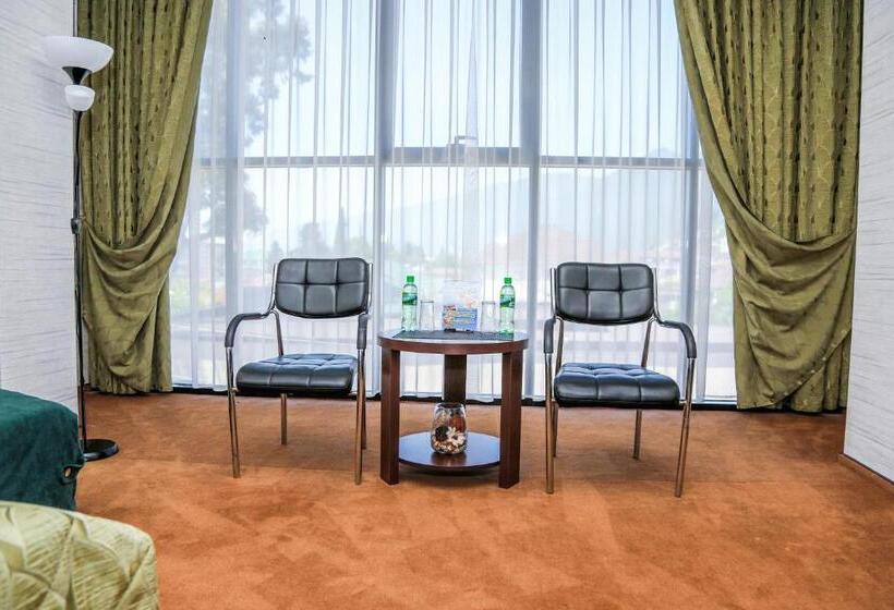 استودیوی استاندارد, Grand Hotel Gagra