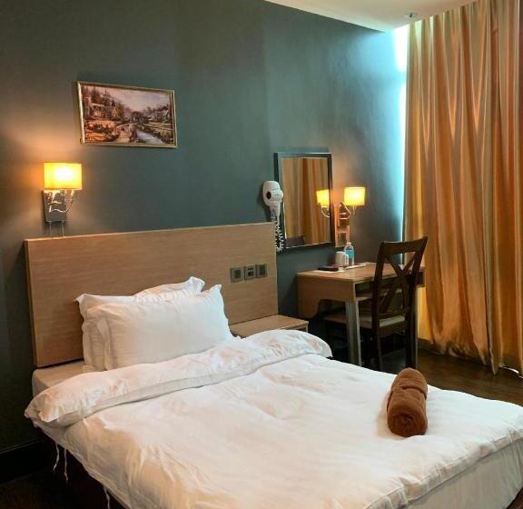 اتاق استاندارد یک نفره, The Room