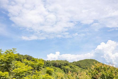 1침실 빌라 정원 전망, Samsam Yao Noi  Andaman Magic & Art Villas