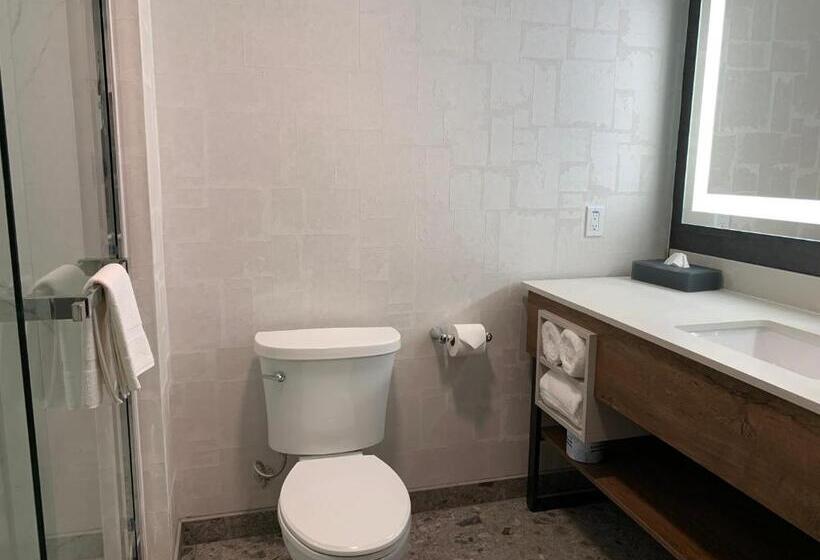 Номер Deluxe Кровать Кинг, La Quinta Inn & Suites By Wyndham Santa Rosa Sonoma