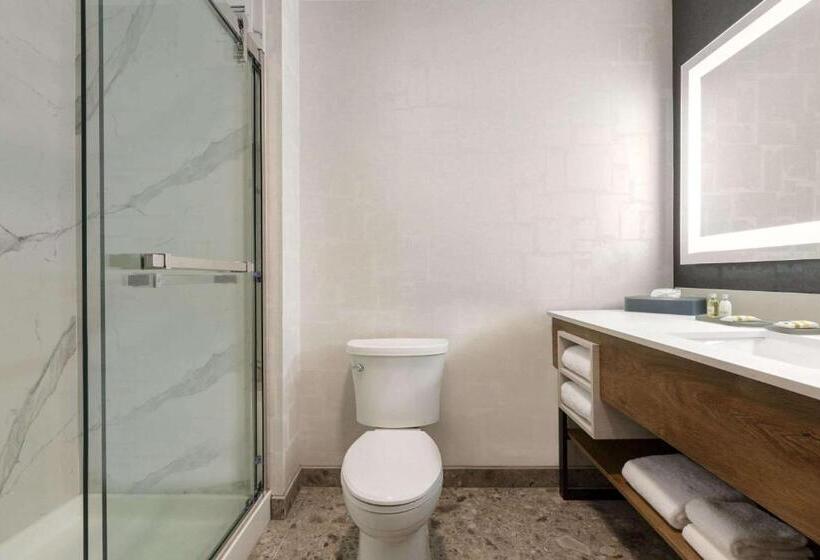 Люкс Executive Кровать Кинг, La Quinta Inn & Suites By Wyndham Santa Rosa Sonoma