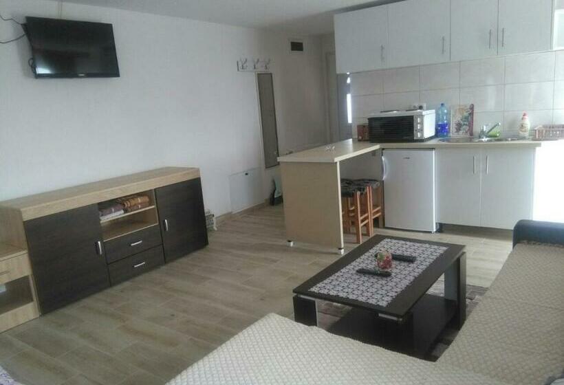 اتاق لوکس با چشم‌انداز شهر, Apartmani Babići