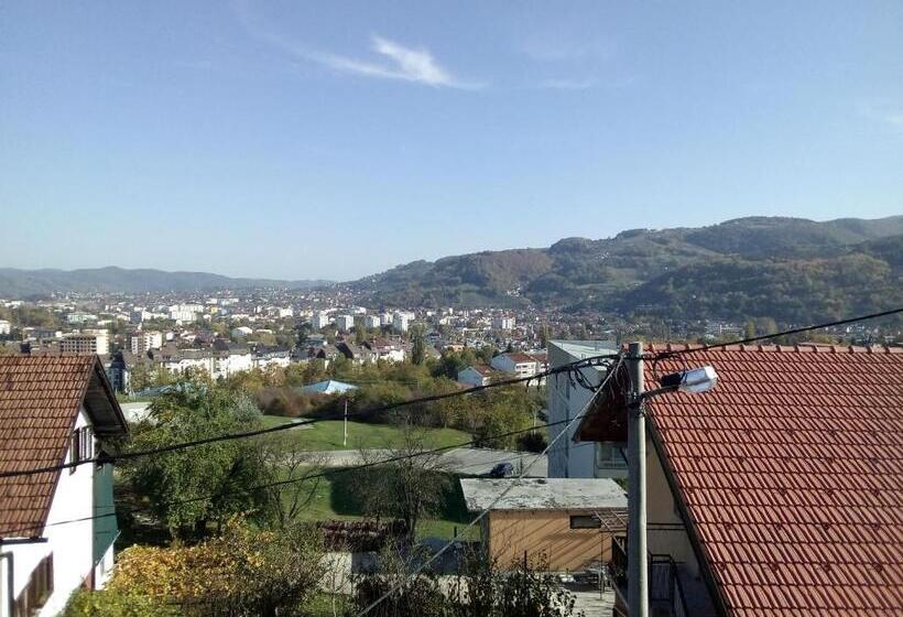 اتاق لوکس با چشم‌انداز شهر, Apartmani Babići
