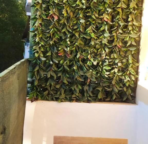 اتاق استاندارد, Linda S Guest House