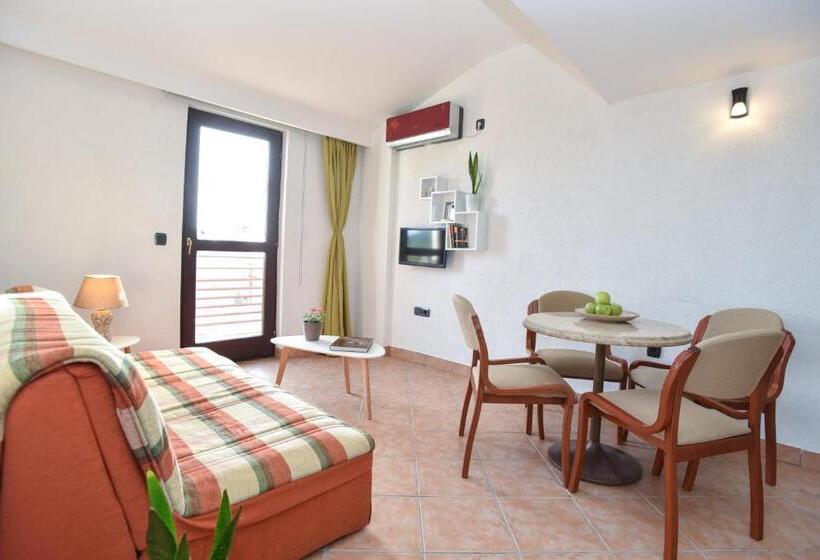 آپارتمان 1 خوابه با چشم‌انداز دریا, Guest House Jedro