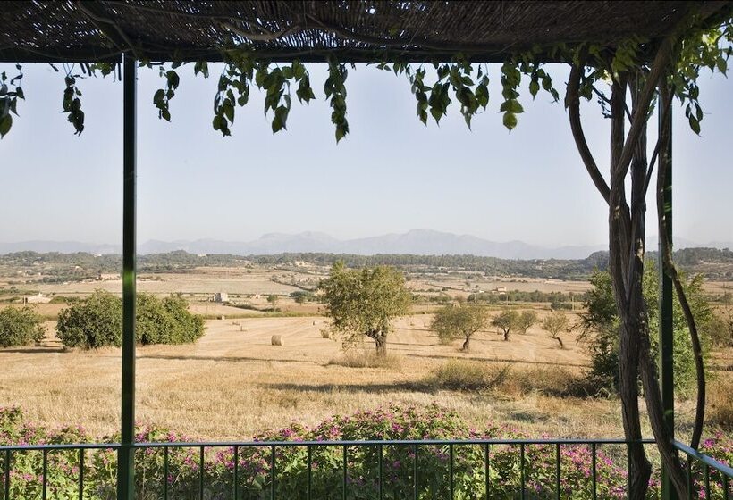 آپارتمان 1 خوابه با تراس, Agroturismo Sa Rota D  En Palerm