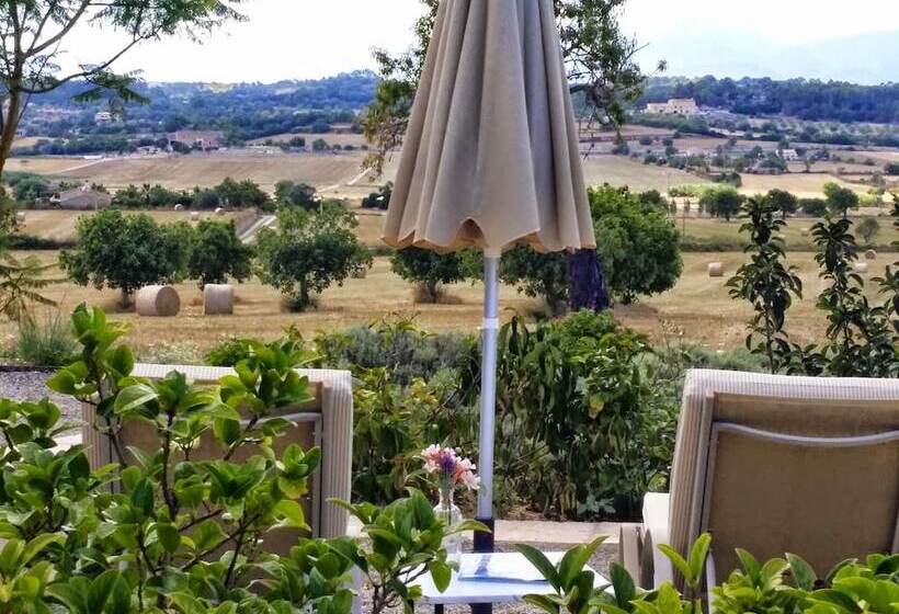 آپارتمان 2 خوابه, Agroturismo Sa Rota D  En Palerm