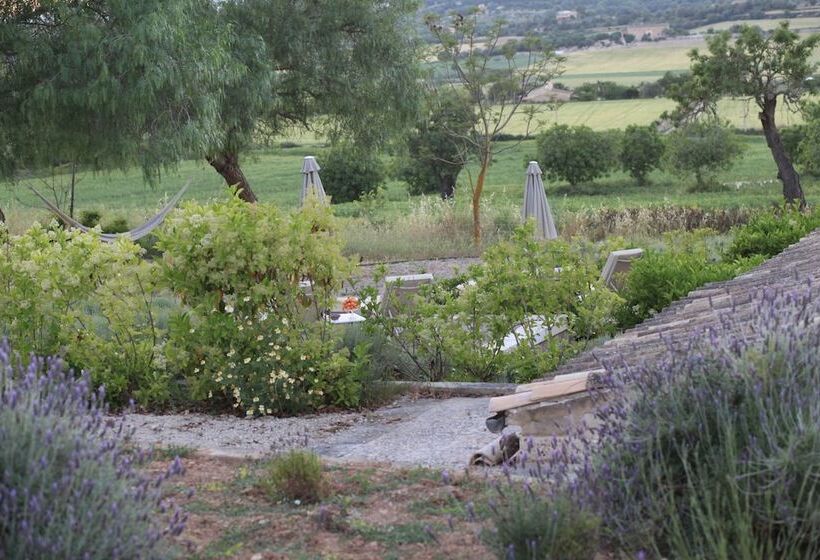 آپارتمان 2 خوابه, Agroturismo Sa Rota D  En Palerm