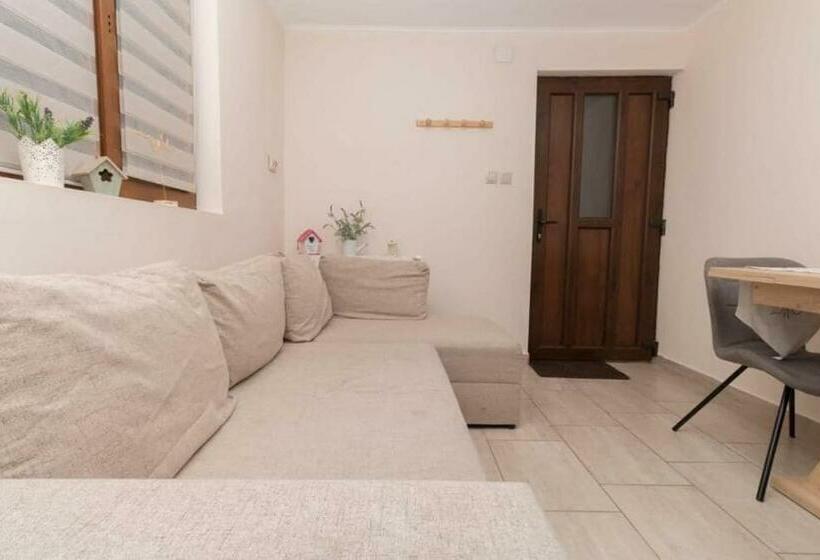استودیوی استاندارد, Casa Cu Farfurii