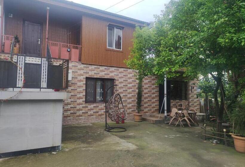اتاق خانوادگی, Private House In Batumi