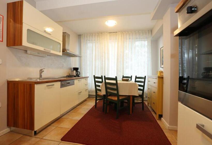 آپارتمان 1 خوابه با چشم‌انداز باغ, Vila Edelweiss Rooms&app Kranjska Gora