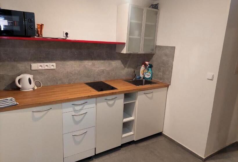 Апартаменты 1 Спальня, Penzion David