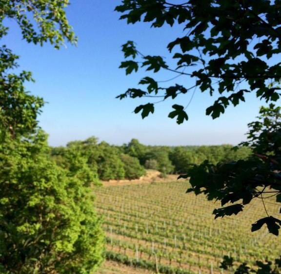 带1个卧室的公寓, Agriturismo San Gregorio