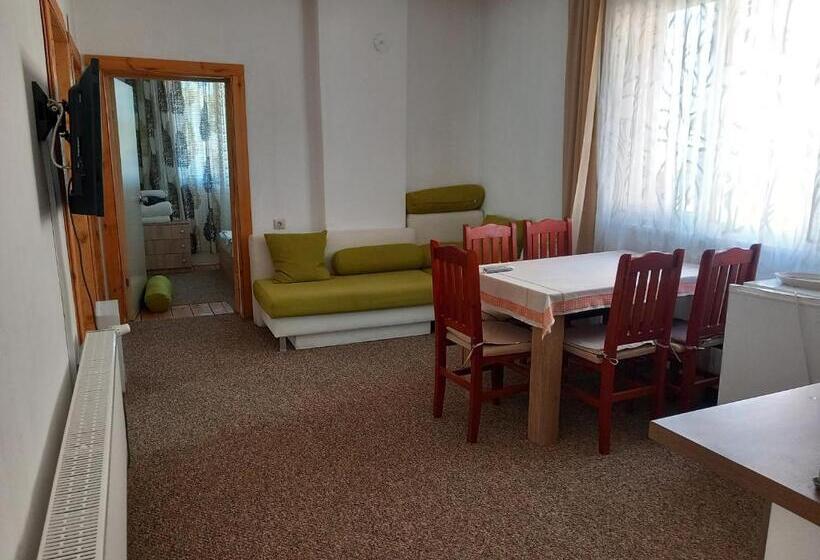 آپارتمان 3 خوابه, Vibo Guesthouse
