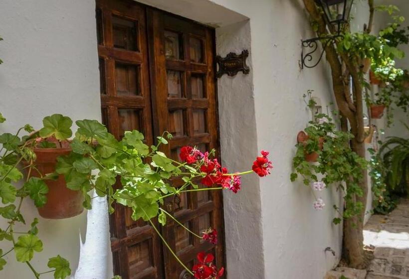 Номер Deluxe, Cortijo El Esparragal