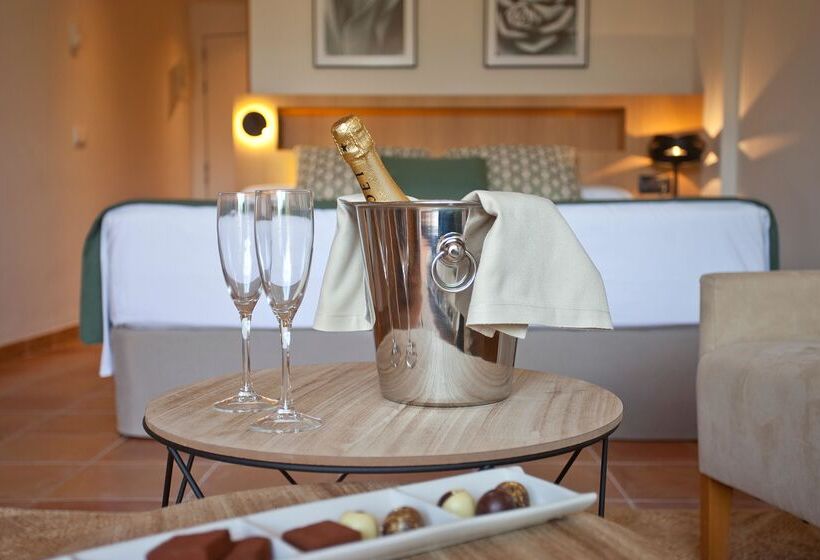 اتاق استاندارد با دسترسی به اسپا, Mon Port Hotel & Spa