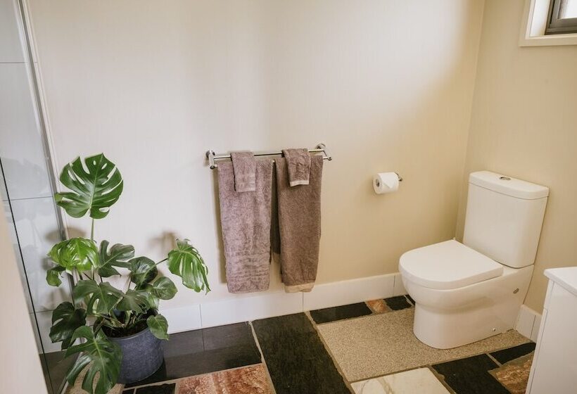 Номер Стандарт Трехместный, Spring Spur Stay