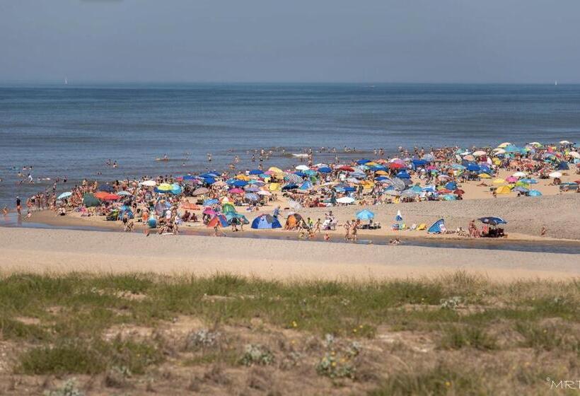 آپارتمان 1 خوابه, Steeds Aan Zee