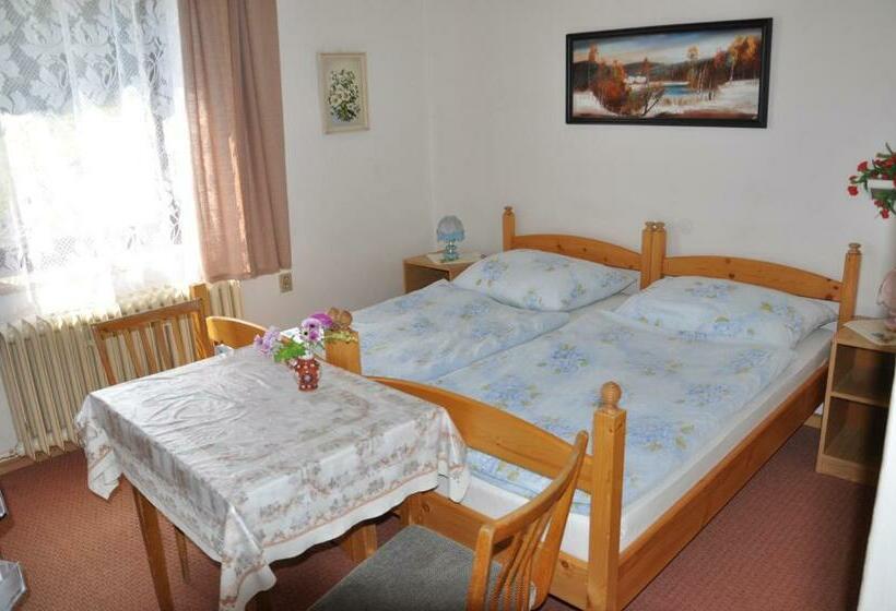 اتاق استاندارد, Penzion Hainiš