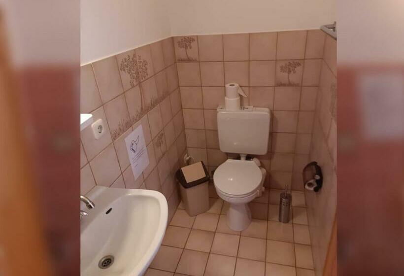 Студия Стандарт, Haus Erlen