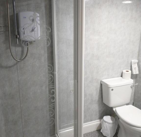 Family Suite, Llanina Arms