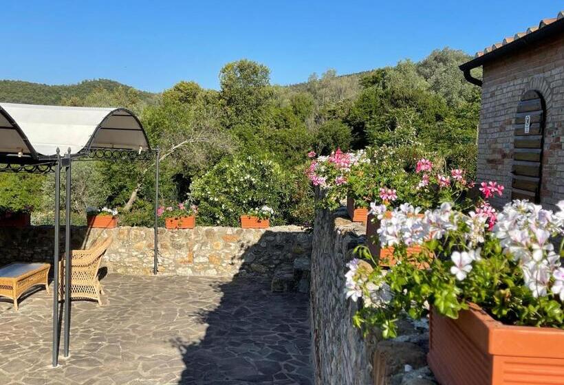 Апартаменты 1 Спальня, Tenuta Montemassi Podere Montauzzo