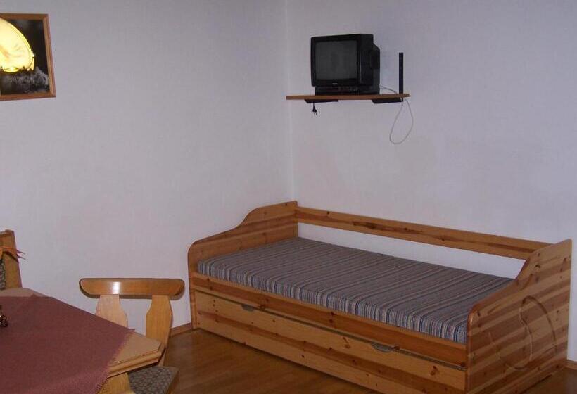 Апартаменты 1 Спальня, Ferienwohnung Ski Hans