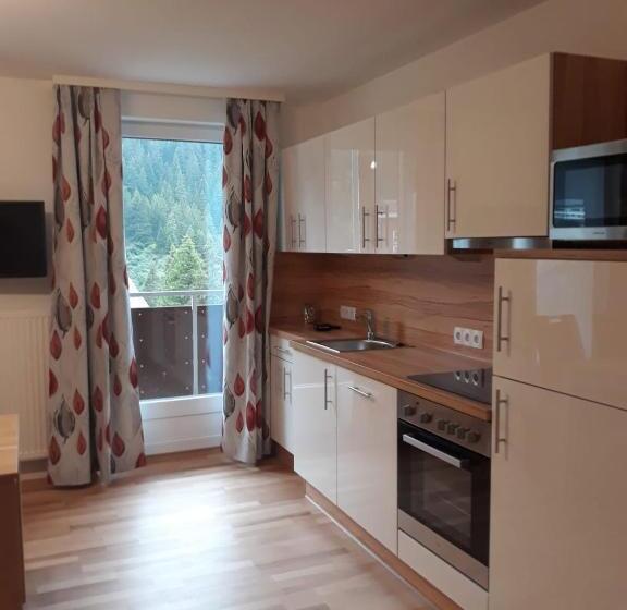 Апартаменты 1 Спальня, Ferienwohnung Ski Hans