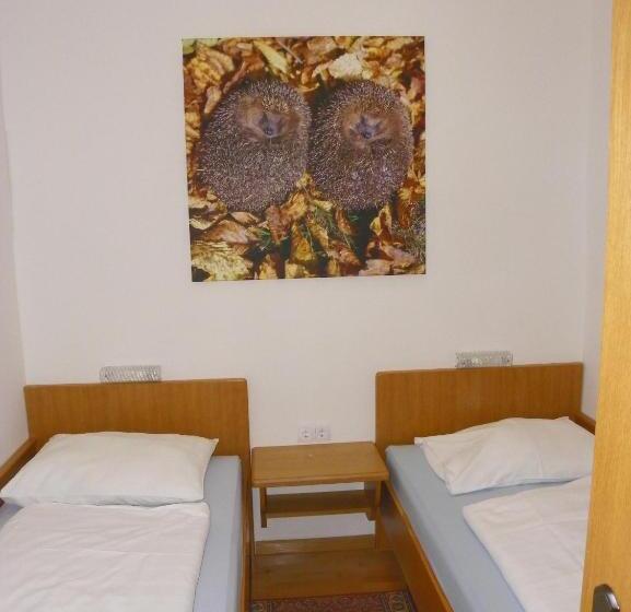 Апартаменты 2 Спальни, Ferienwohnung Ski Hans