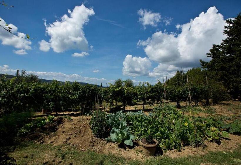 Люкс Superior, Agriturismo Podere Acqualoreto