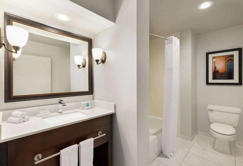 Люкс, Hampton Inn & Suites New Orleansconvention Center