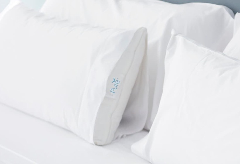 스탠다드 스튜디오, Residence Inn By Marriott Orlando At Seaworld
