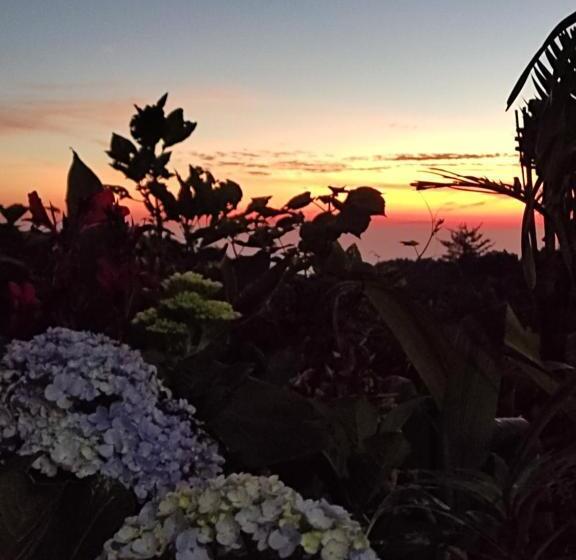 Дом 1 Спальня, Kopikuin Bromo Homestay
