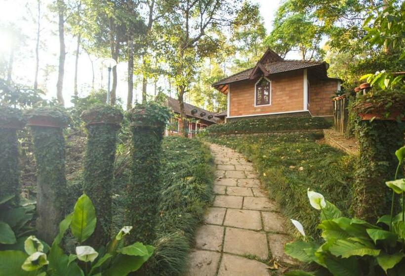 Номер Стандарт, Misty Woods Resort