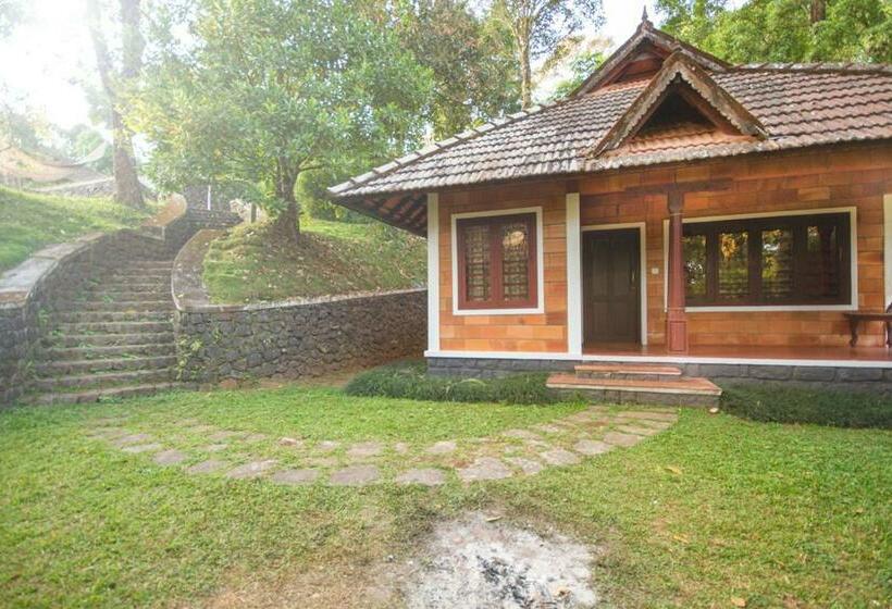 Номер Deluxe, Misty Woods Resort