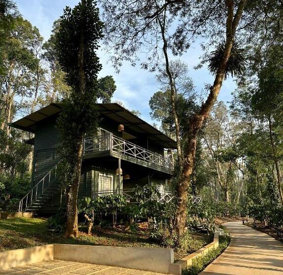 标准间, Machaan Wilderness Lodge Nagarahole
