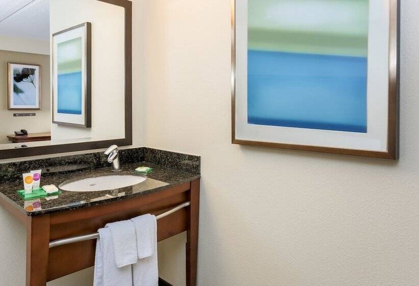 ２ダブルベッドのスタンダードルーム, Hyatt Place Dallas/grapevine