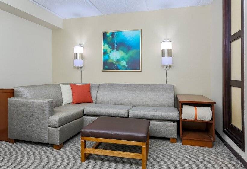 ２ダブルベッドのスタンダードルーム, Hyatt Place Dallas/grapevine