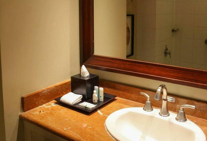 Стандартный Номер Кровать Кинг, Four Points San Jose Costa Rica
