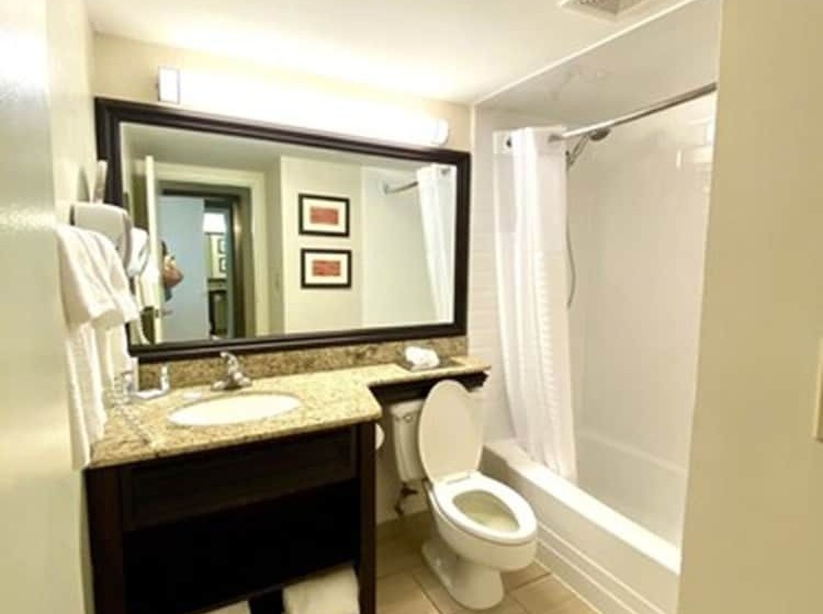 غرفه قياسيه سريرين مزدوجين, Comfort Inn Oceanside Deerfield Beach