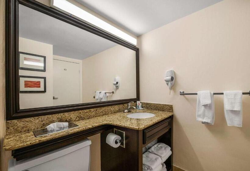 חדר סטנדרט שתי מיטות זוגיות, Comfort Inn Oceanside Deerfield Beach