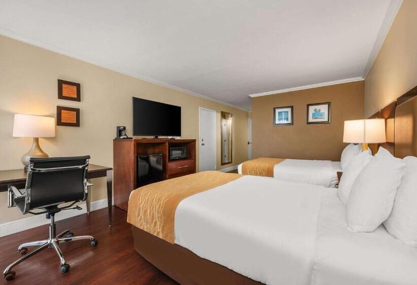 غرفه قياسيه سريرين مزدوجين, Comfort Inn Oceanside Deerfield Beach