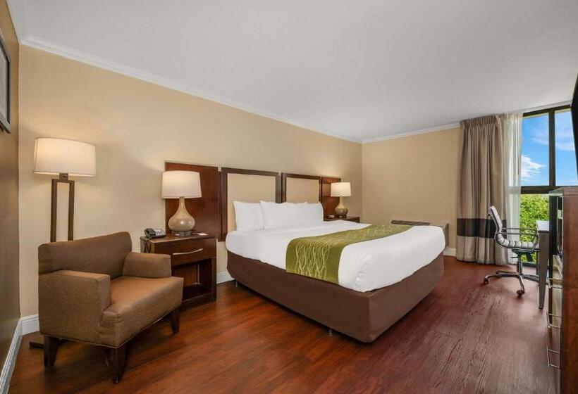 חדר סטנדרט עם מיטת קינג, Comfort Inn Oceanside Deerfield Beach