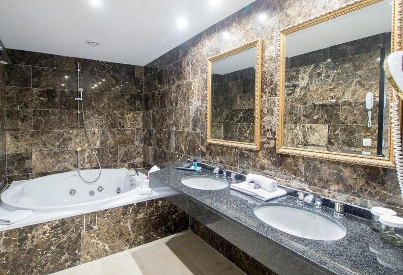 سوییت با چشم‌انداز کوه, Princesa Parc Excellence