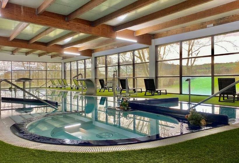 اتاق استاندارد با دسترسی به اسپا, Oca Palacio De La Llorea Hotel & Spa